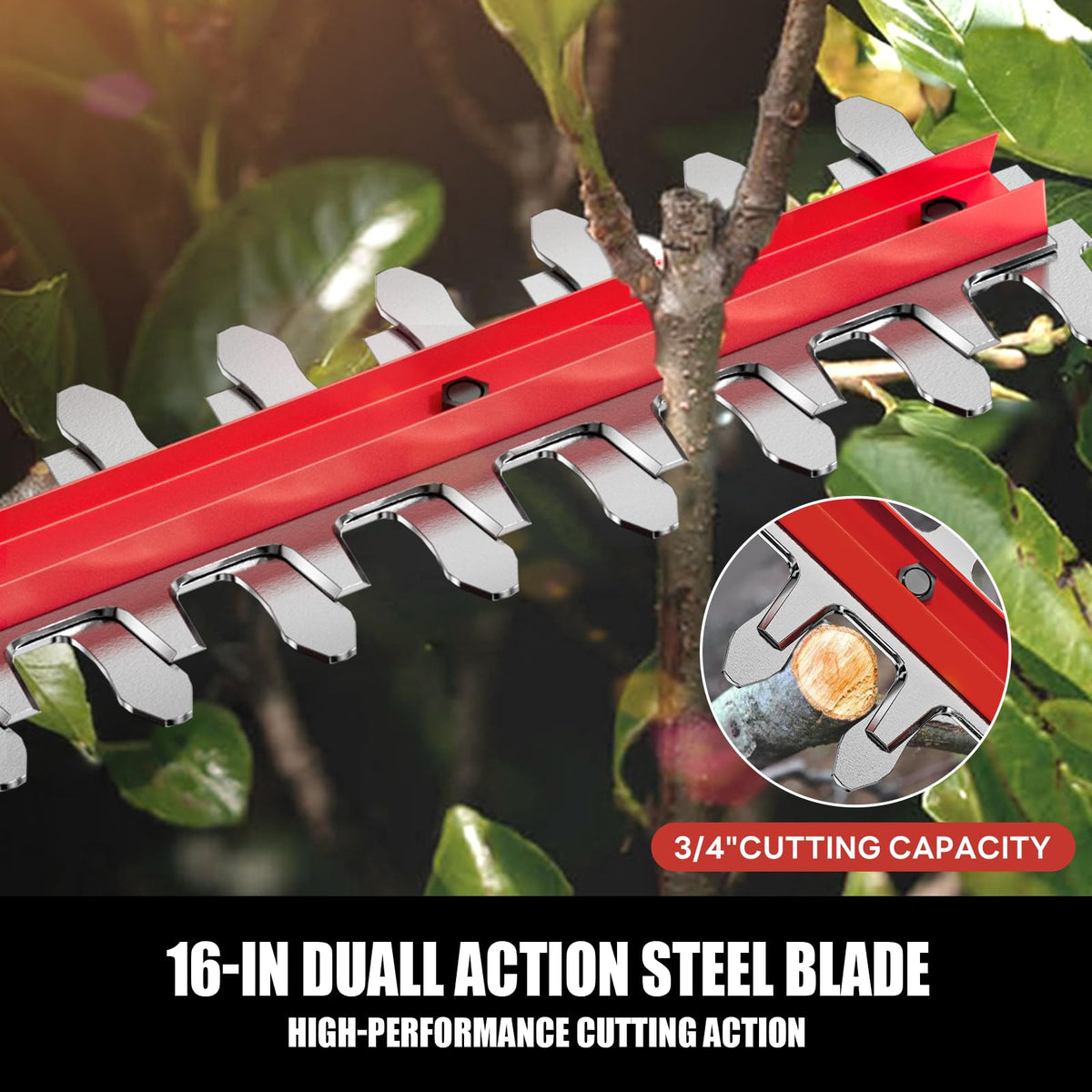 20V Cordless Pole Hedge Trimmer With 16-Inch Blades, 2 2.0Ah Batteries And Charger