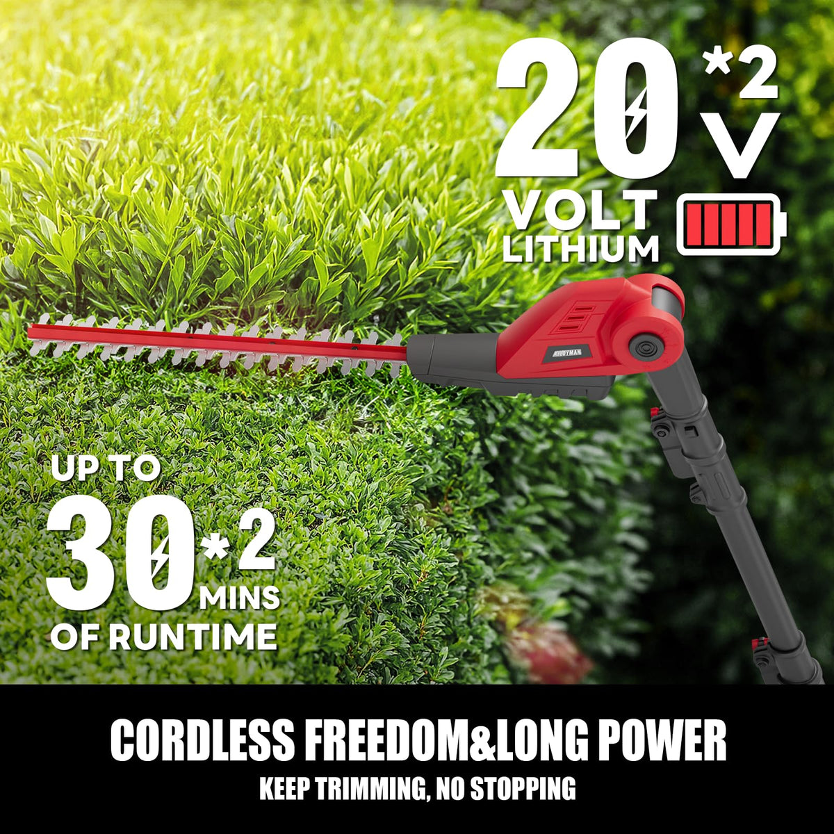 20V Cordless Pole Hedge Trimmer With 16-Inch Blades, 2 2.0Ah Batteries And Charger
