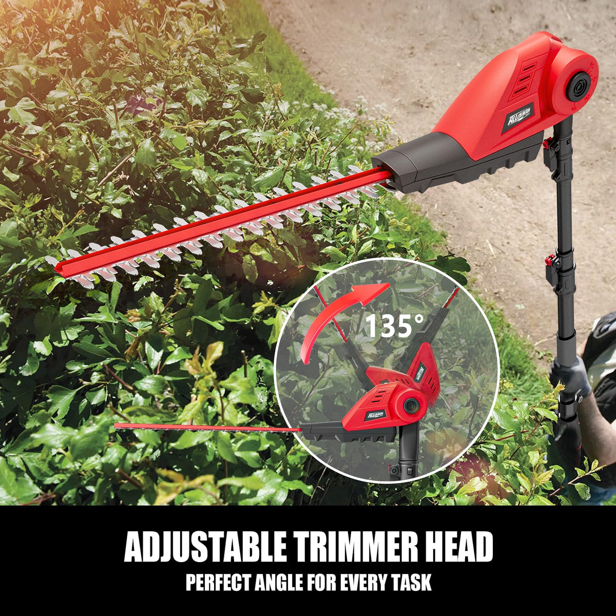 20V Cordless Pole Hedge Trimmer With 16-Inch Blades, 2 2.0Ah Batteries And Charger